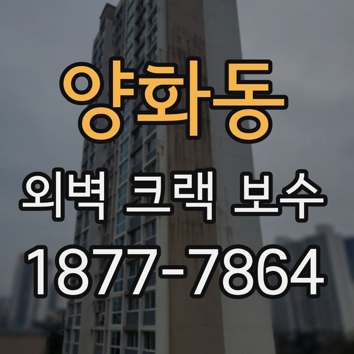 양화동 외벽 크랙 보수