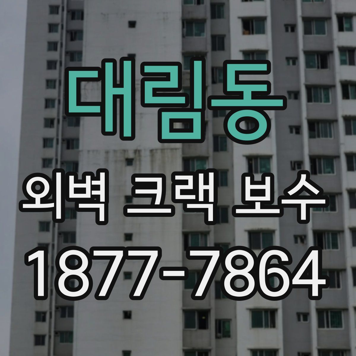 대림동 외벽 크랙 보수