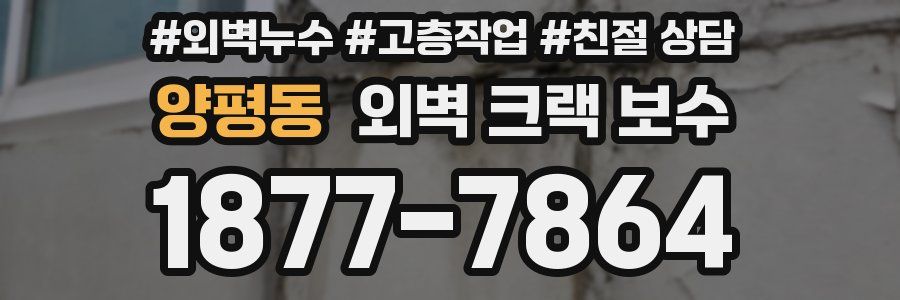 양평동 외벽 크랙 보수