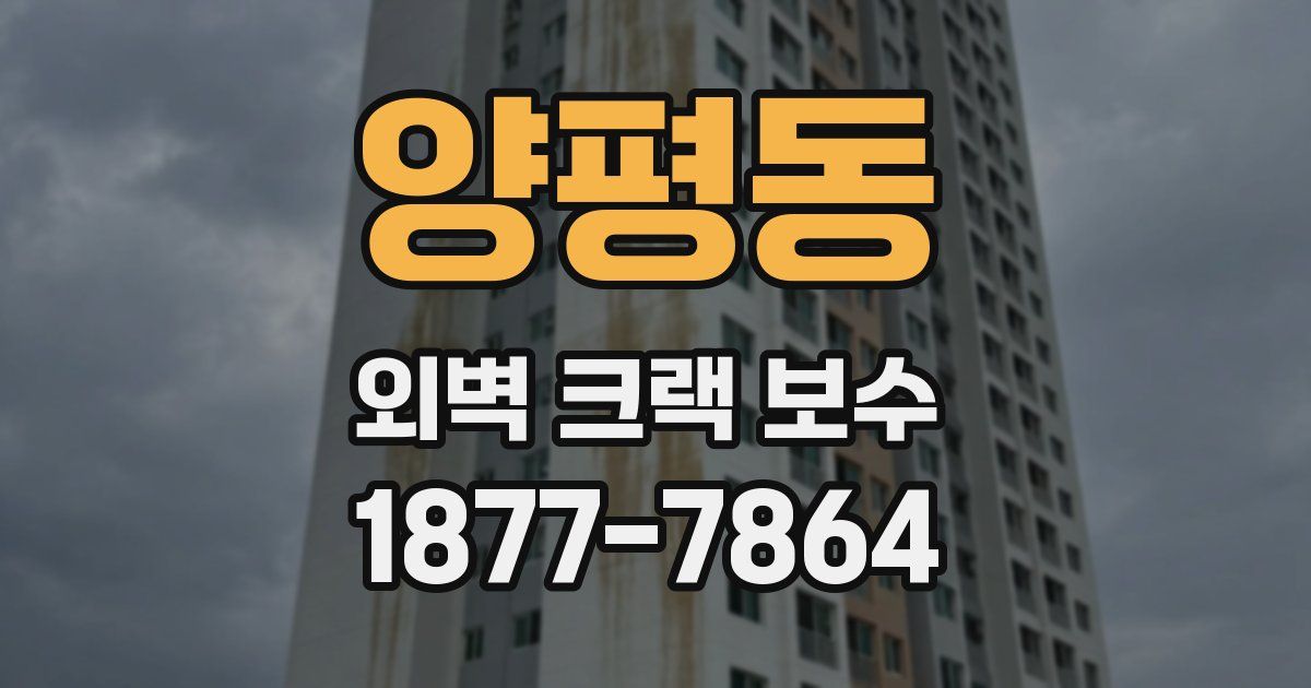 양평동 외벽 크랙 보수