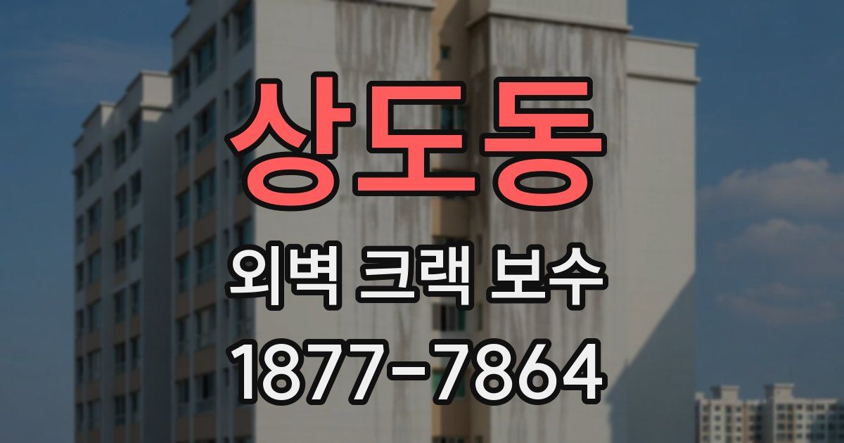 상도동 외벽 크랙 보수