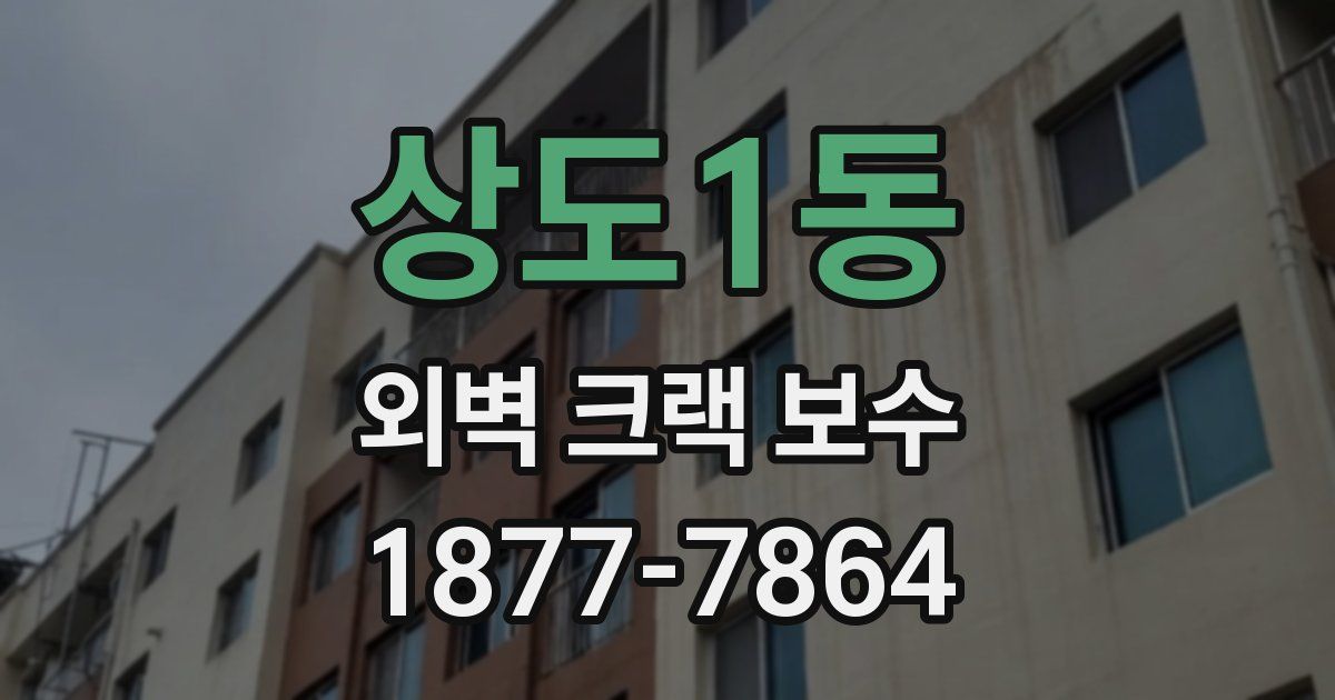 상도1동 외벽 크랙 보수