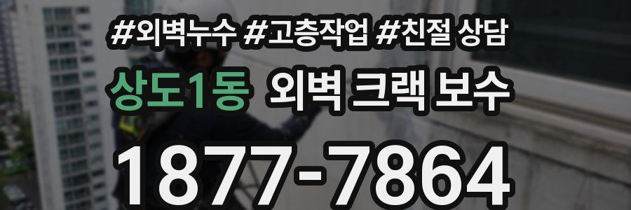상도1동 외벽 크랙 보수