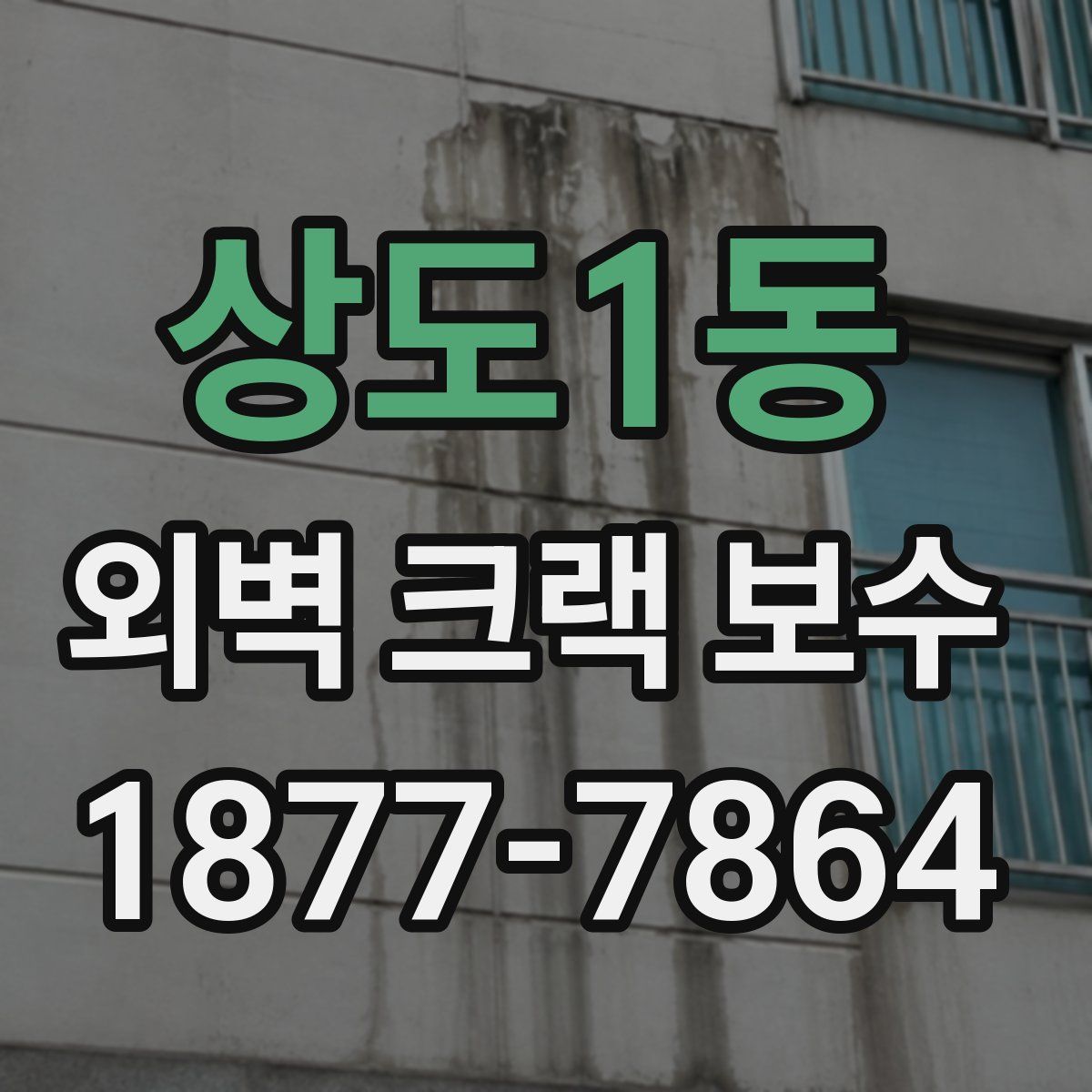 상도1동 외벽 크랙 보수