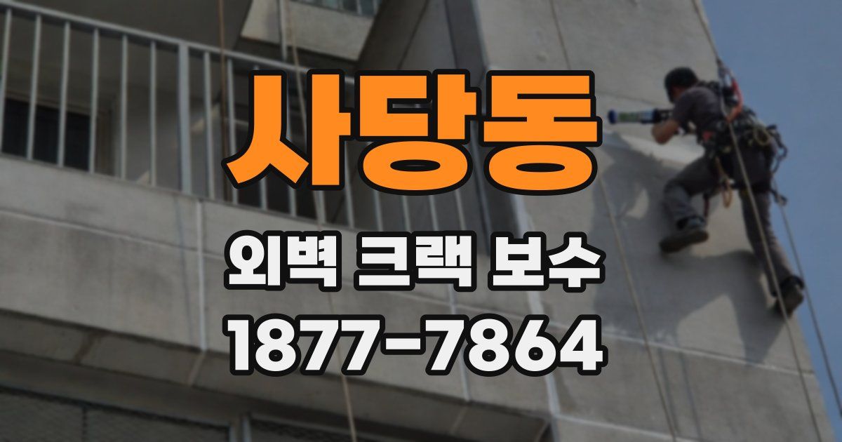 사당동 외벽 크랙 보수