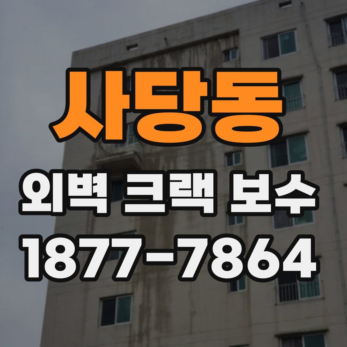 사당동 외벽 크랙 보수