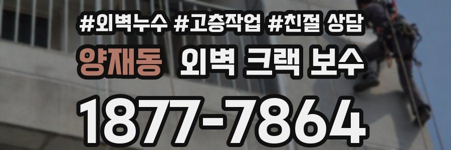 양재동 외벽 크랙 보수