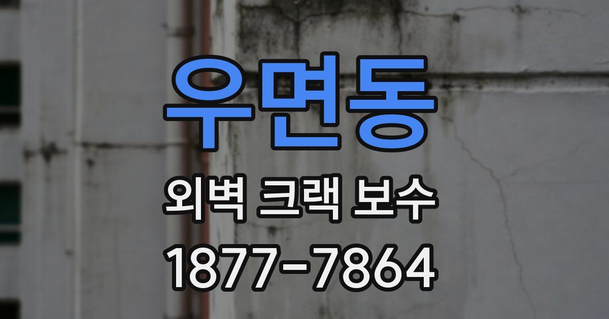 우면동 외벽 크랙 보수