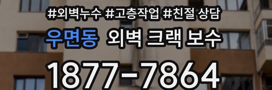우면동 외벽 크랙 보수