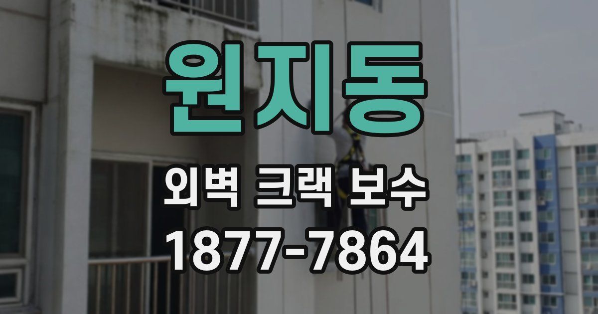 원지동 외벽 크랙 보수