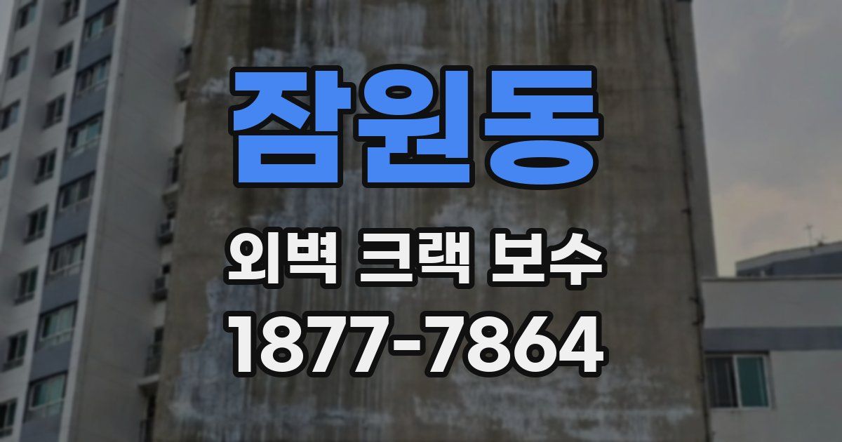 잠원동 외벽 크랙 보수