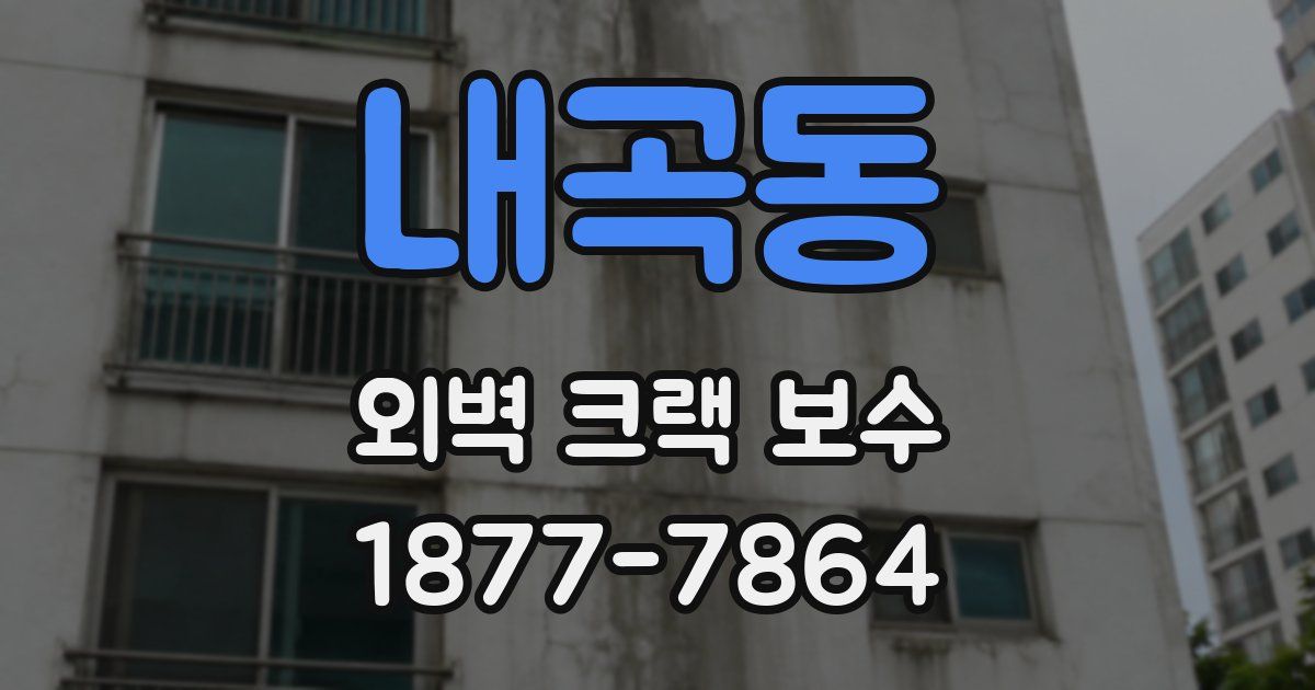 내곡동 외벽 크랙 보수