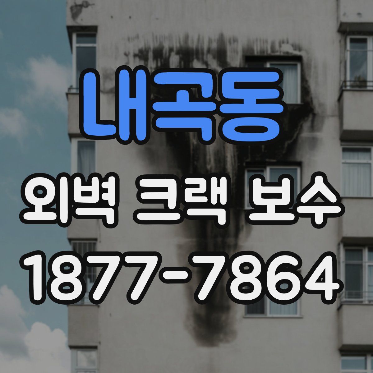 내곡동 외벽 크랙 보수