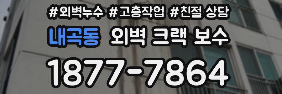 내곡동 외벽 크랙 보수