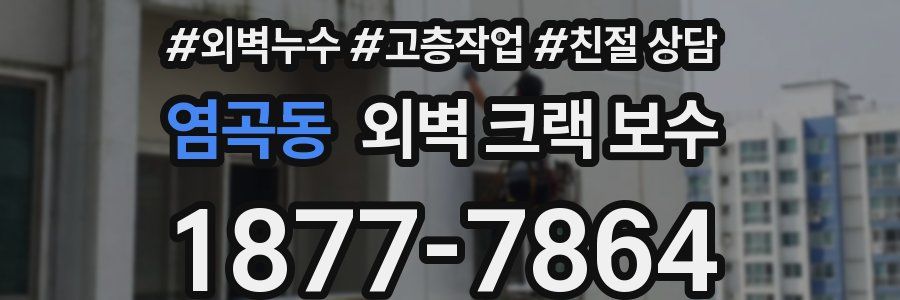 염곡동 외벽 크랙 보수