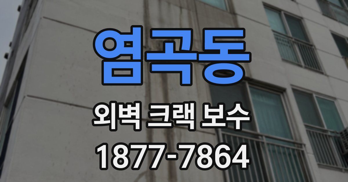 염곡동 외벽 크랙 보수