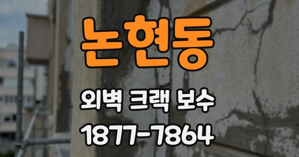 논현동 외벽 크랙 보수