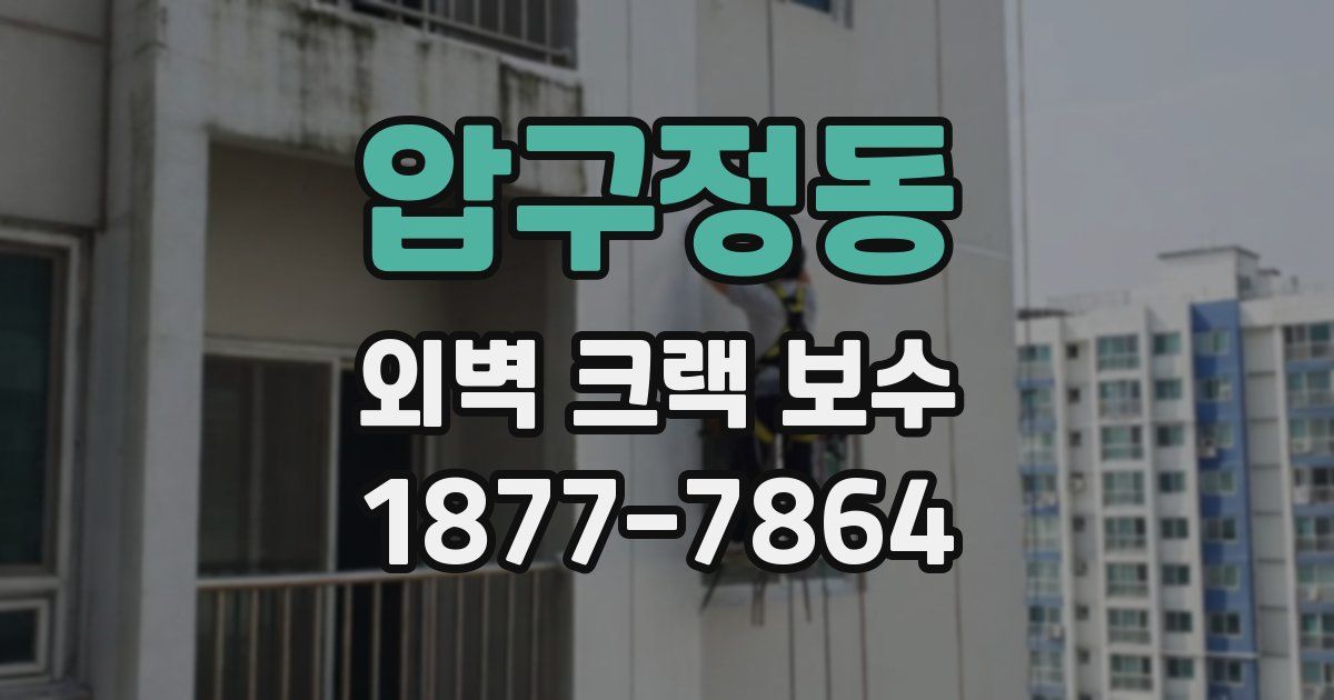 압구정동 외벽 크랙 보수