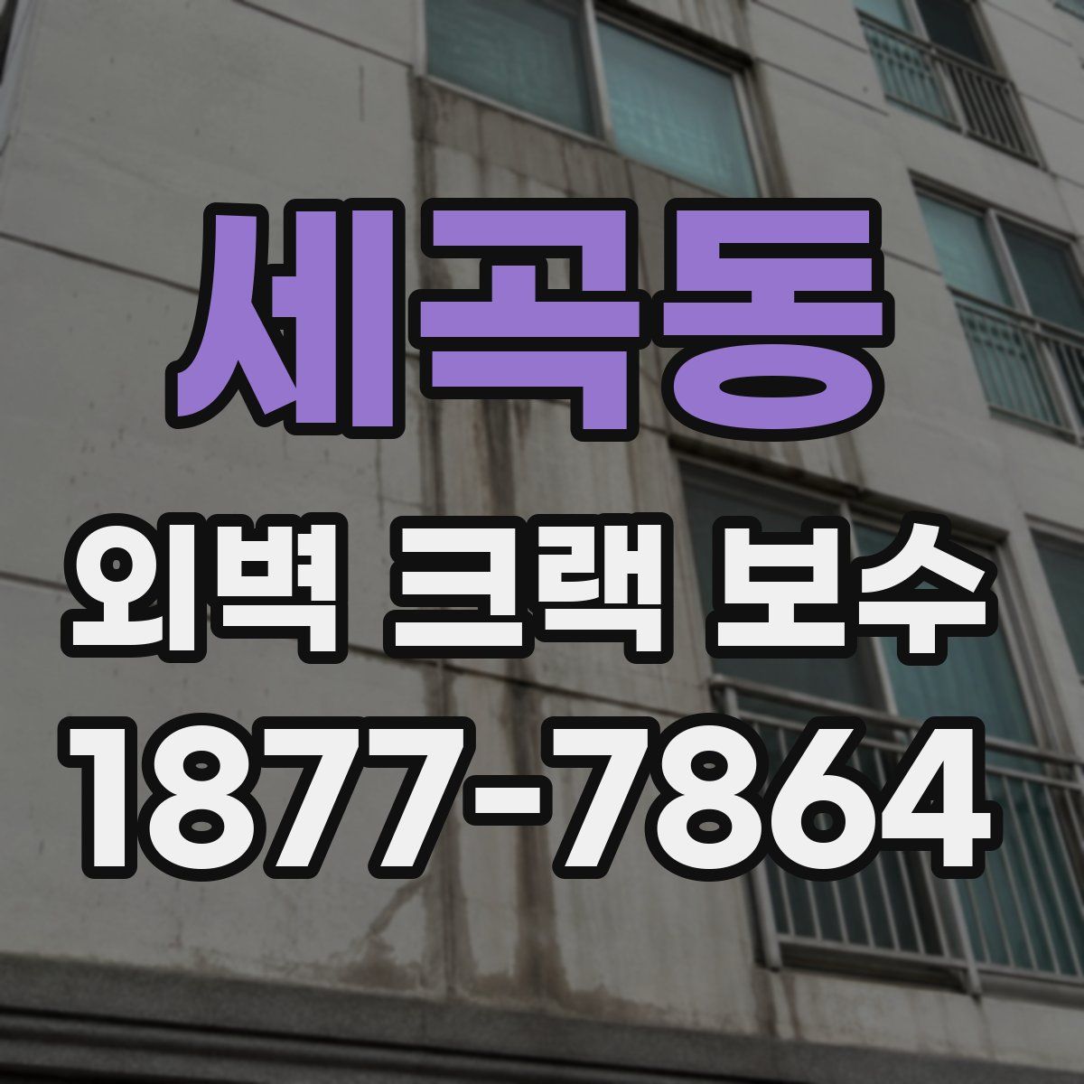 세곡동 외벽 크랙 보수