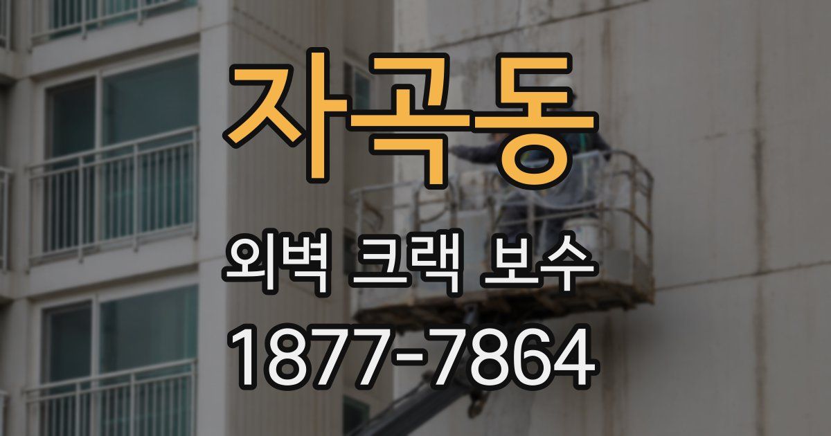 자곡동 외벽 크랙 보수