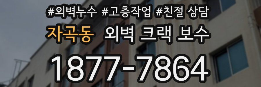 자곡동 외벽 크랙 보수