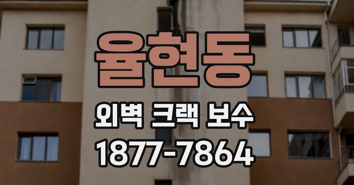 율현동 외벽 크랙 보수