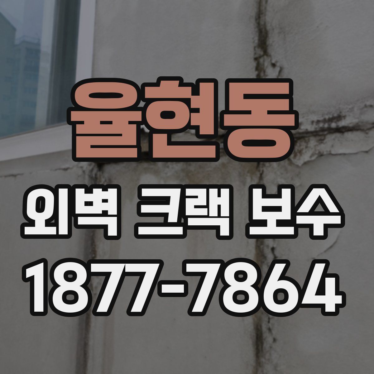 율현동 외벽 크랙 보수