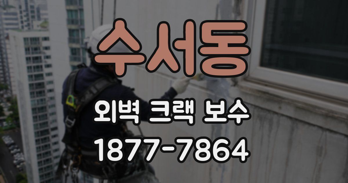 수서동 외벽 크랙 보수
