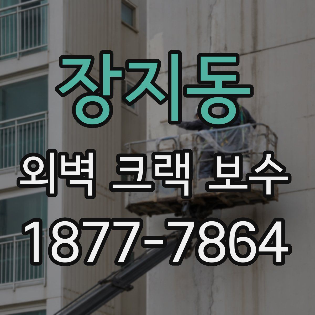 장지동 외벽 크랙 보수