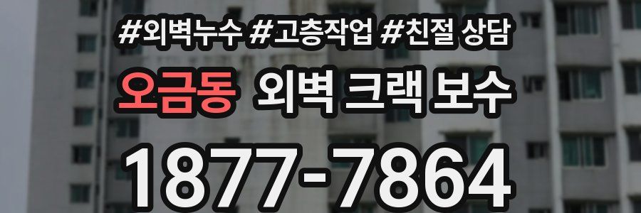 오금동 외벽 크랙 보수