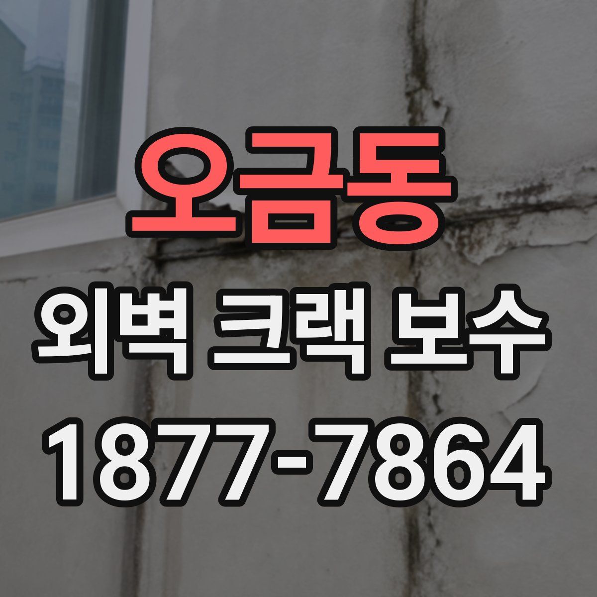 오금동 외벽 크랙 보수