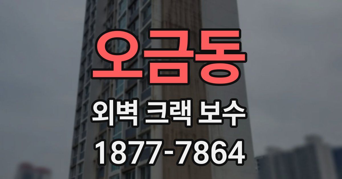 오금동 외벽 크랙 보수