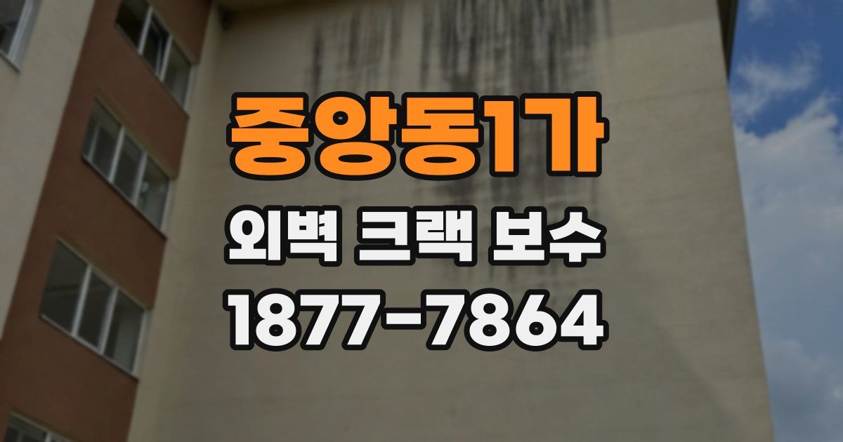 중앙동1가 외벽 크랙 보수