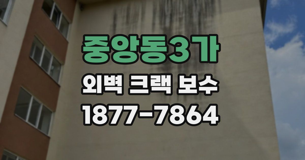 중앙동3가 외벽 크랙 보수