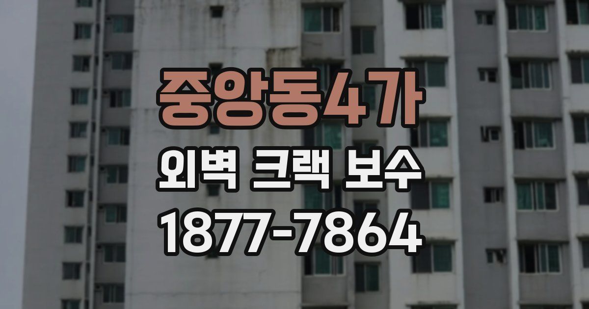 중앙동4가 외벽 크랙 보수