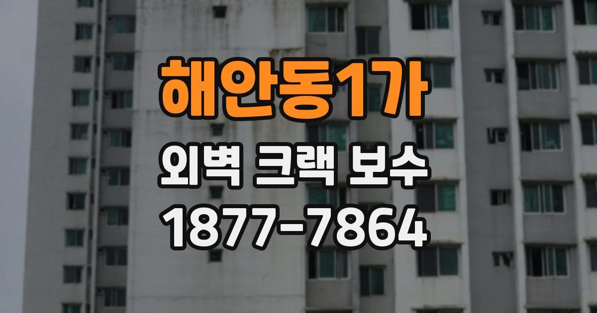 해안동1가 외벽 크랙 보수
