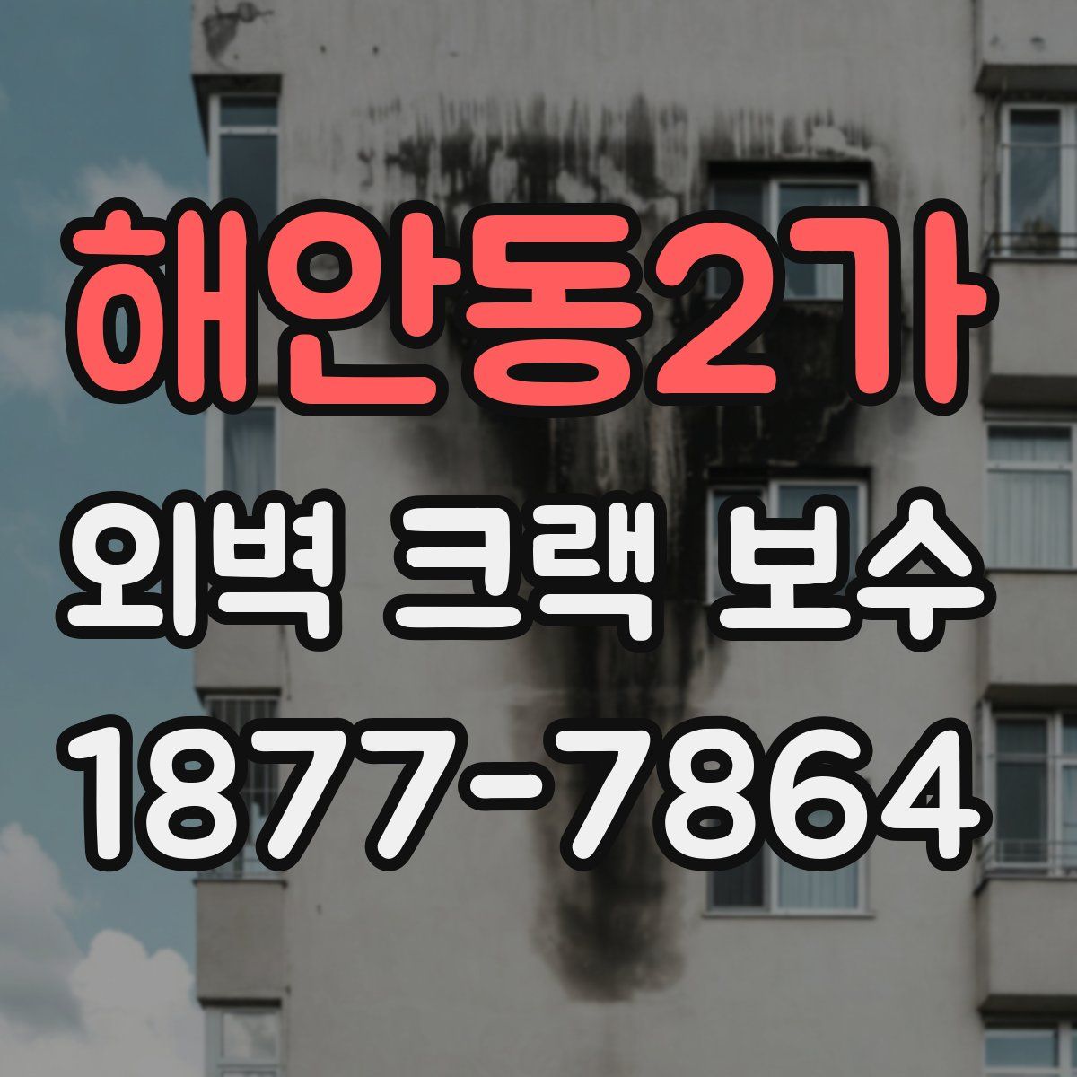 해안동2가 외벽 크랙 보수