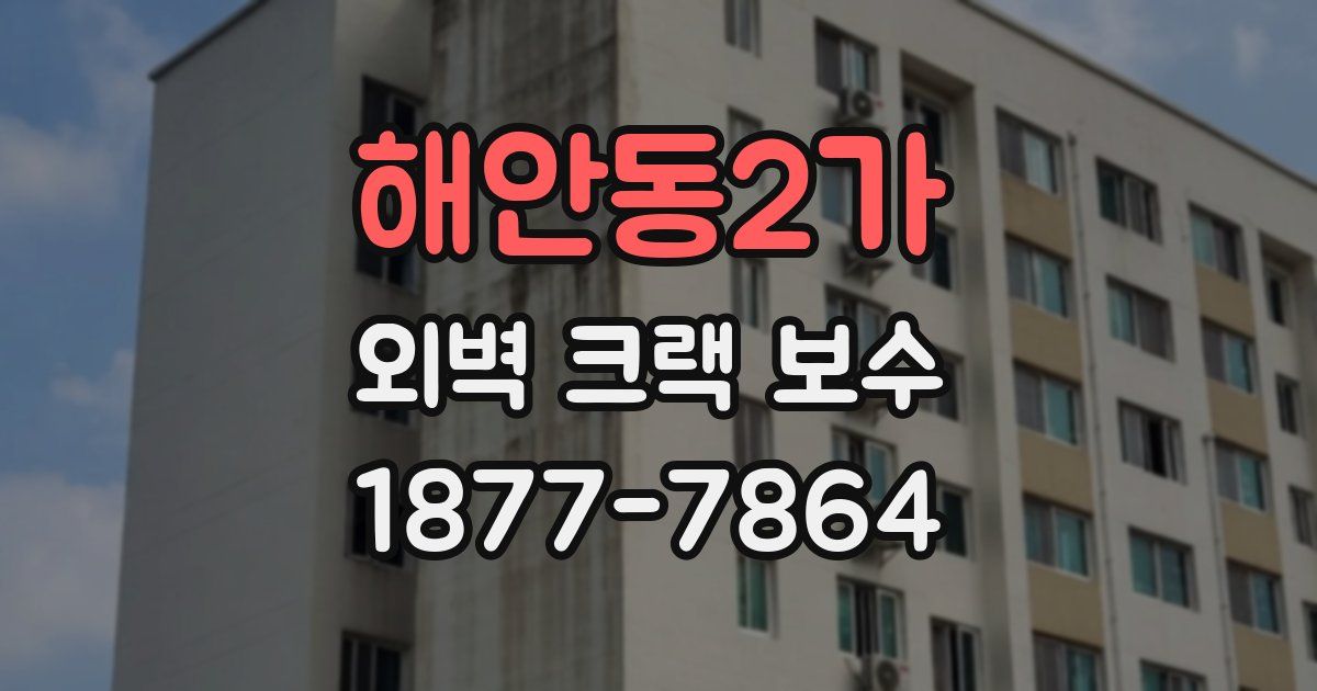 해안동2가 외벽 크랙 보수