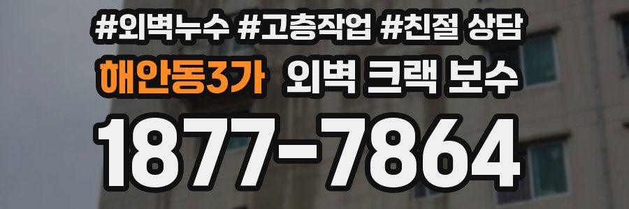 해안동3가 외벽 크랙 보수