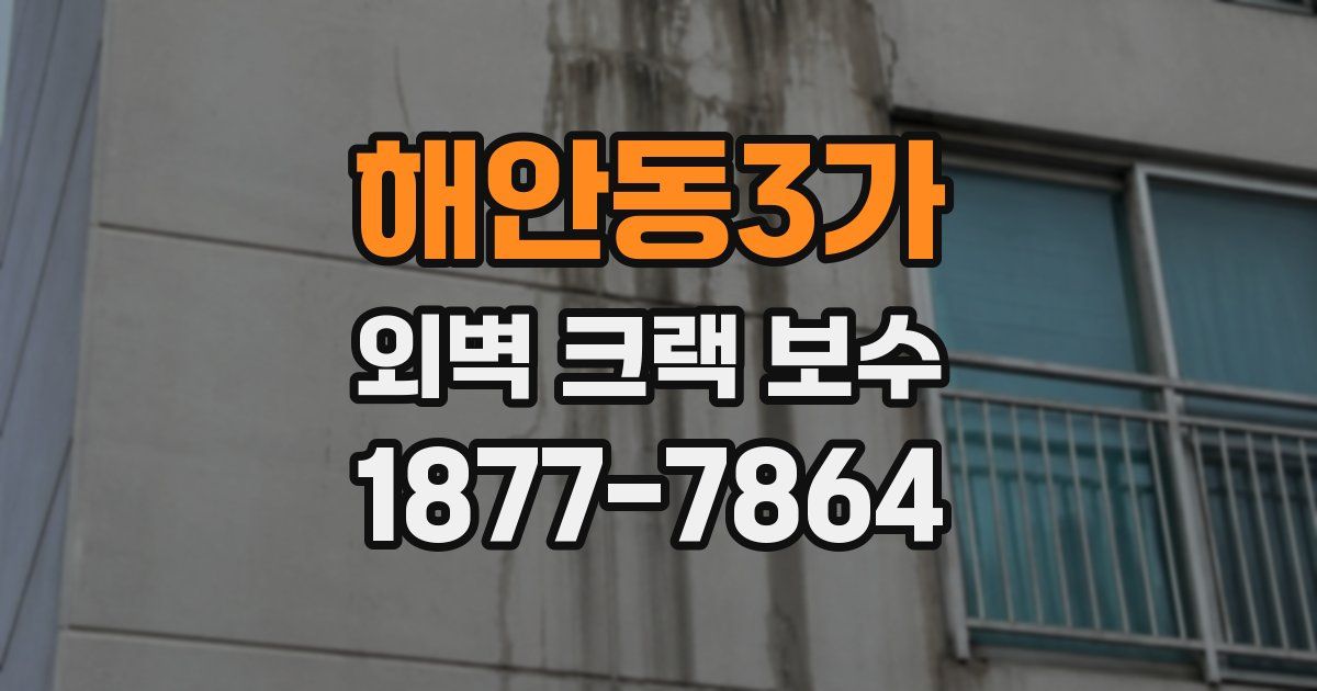 해안동3가 외벽 크랙 보수