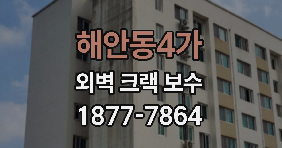 해안동4가 외벽 크랙 보수