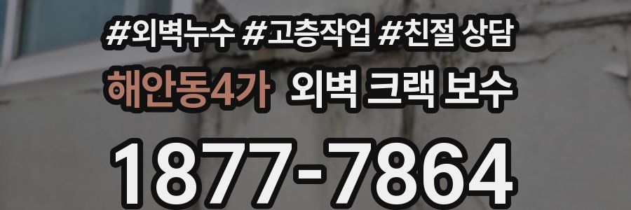 해안동4가 외벽 크랙 보수