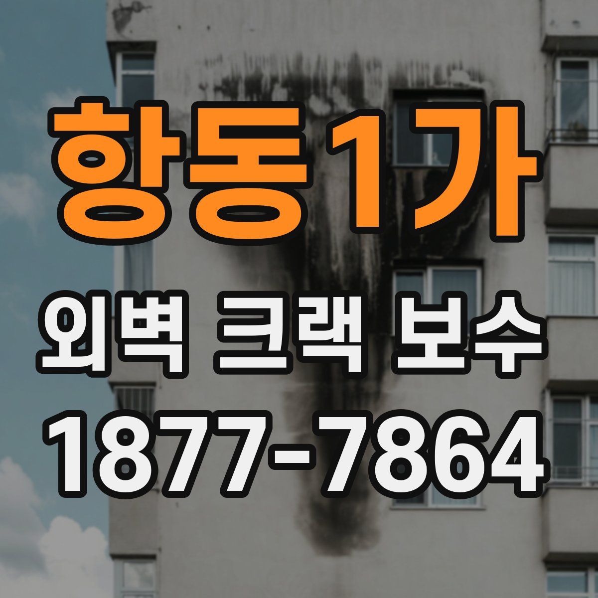항동1가 외벽 크랙 보수