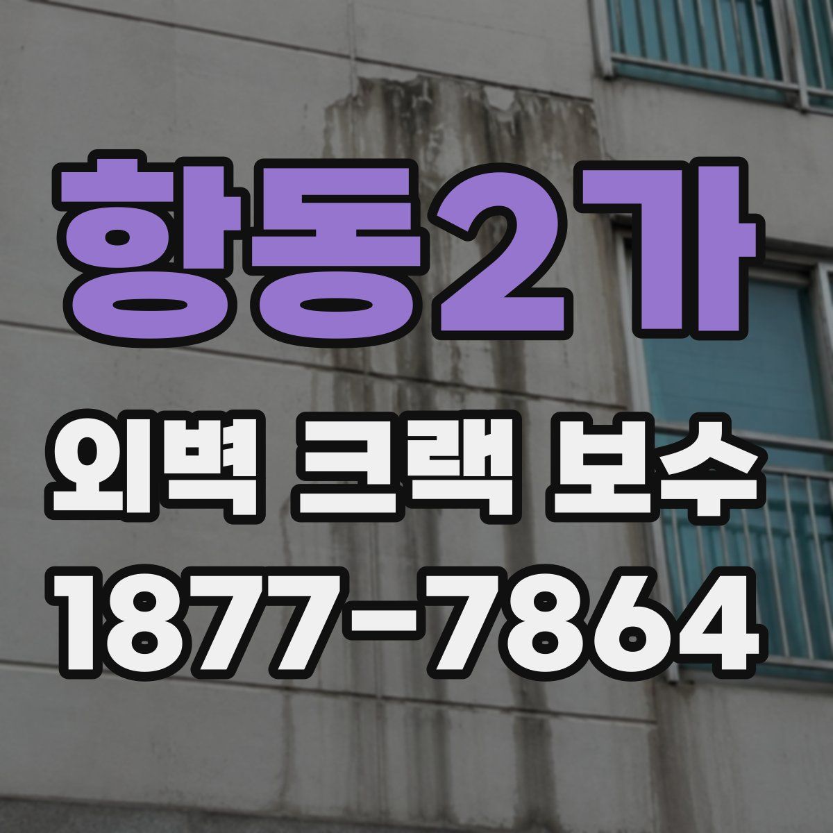 항동2가 외벽 크랙 보수