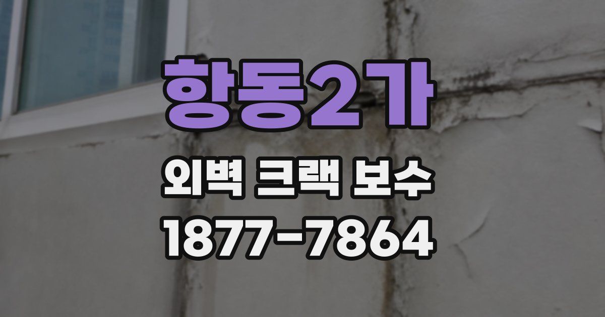 항동2가 외벽 크랙 보수