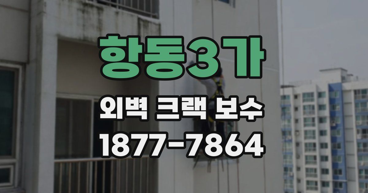항동3가 외벽 크랙 보수