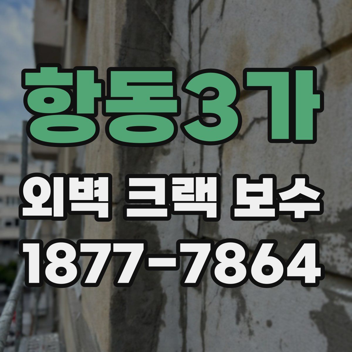 항동3가 외벽 크랙 보수