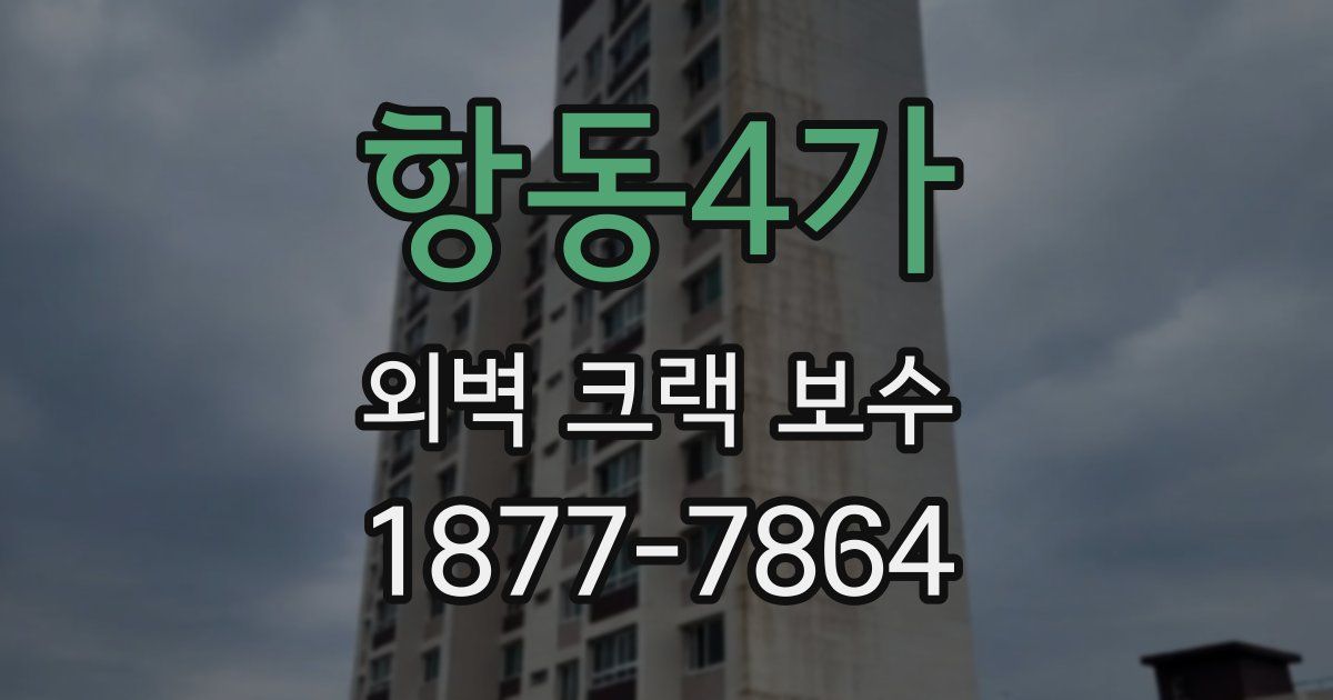 항동4가 외벽 크랙 보수