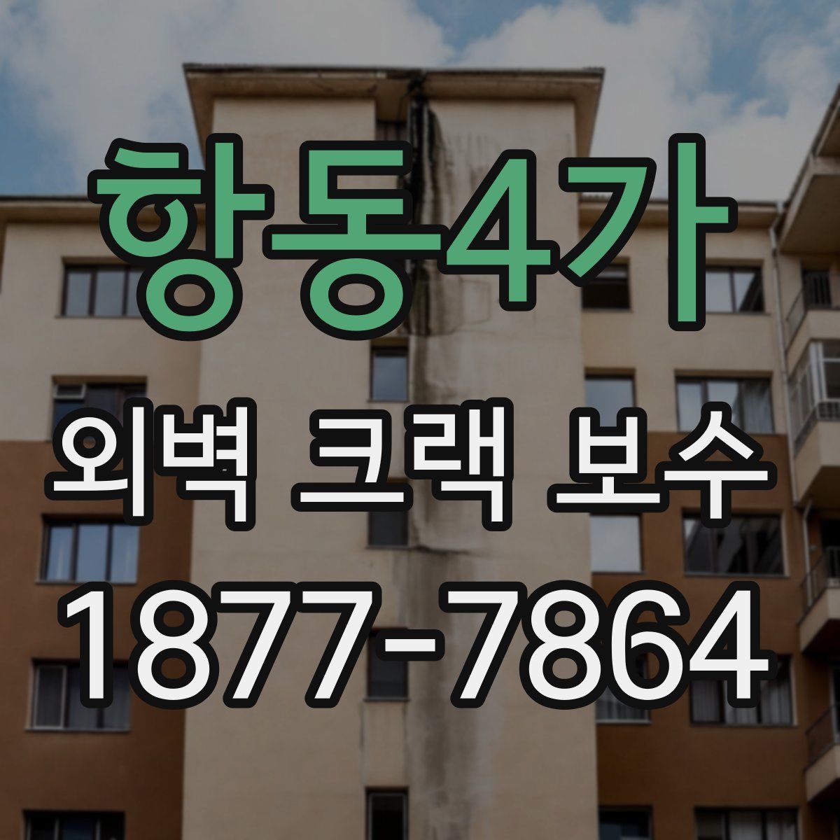 항동4가 외벽 크랙 보수