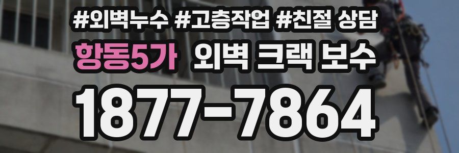 항동5가 외벽 크랙 보수